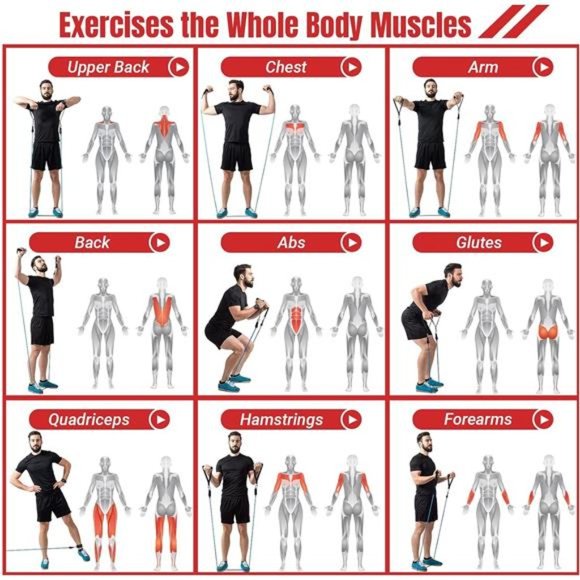 Resistance Bands Set with Handles, Exercise Bands Workout Bands Fitness Bands - Picture 5 of 7